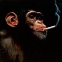 whistlin' dog (@pixeldogvg) 's Twitter Profile