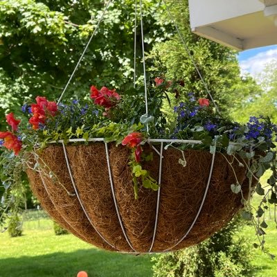 Gardengiggling's profile picture. Gardening and giggling