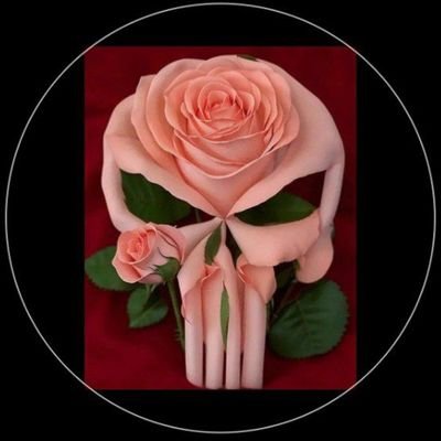 aryameh98026266's profile picture. 