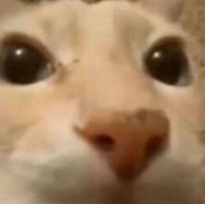 PatorikkuM59232's profile picture. 19yo
成人済