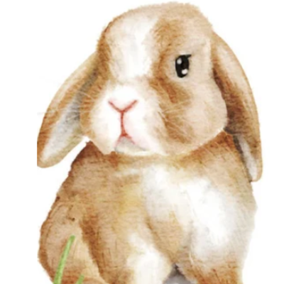 faunaandfi's profile picture. https://t.co/v2qxo358Fl