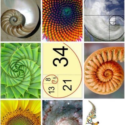 DenisDurakovic6's profile picture. 