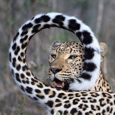 Death_Ring_0's profile picture. If you Kindfull, You can Live! 
If you Hard Me, You can Died!!

''Skip Me better then Follow Me!''