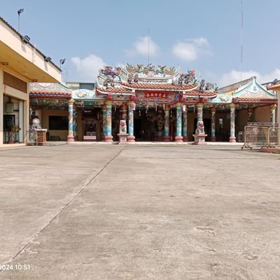 trinkinews's profile picture. 