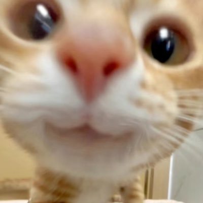 Seeseeyou4's profile picture. 