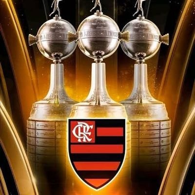 PAI DE FAMÍLIA, HONESTO, TRICAMPEÃO DA LIBERTADORES E OCTACAMPEÃO BRASILEIRO ⚫🔴
BRASIL ACIMA DE TUDO, DEUS ACIMA DE TODOS!!!