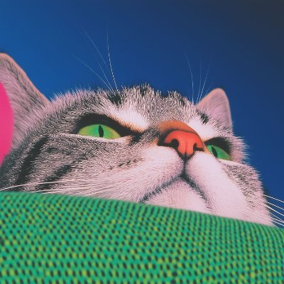 ZSD_sol's profile picture. Market Manipulator has more patience than you.