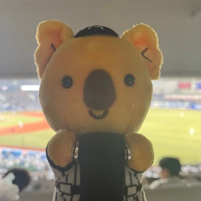 5015Jp's profile picture. 🐎競馬とロッテが好き⚾️
