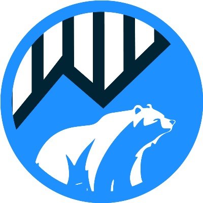 Bear Market Coin Profile