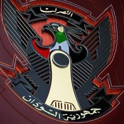 00x10dev's profile picture. عزيزٌ أنت يا وطني برغم قساوة المحنِ