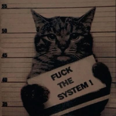 Olebeys's profile picture. 🖤IRAN

https://t.co/oYz76MrLQ7