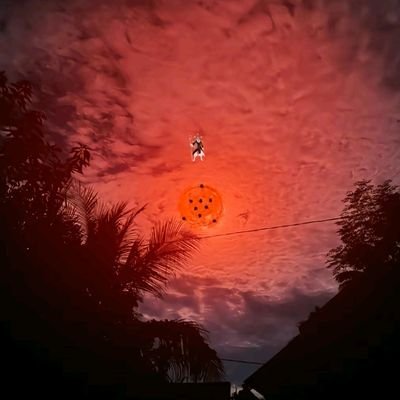 97pills_'s profile picture. Ain't worth Shit.                   Yet.