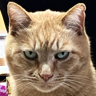 hirokun31's profile picture. 🄳🅄🅲🅰🆃🄸