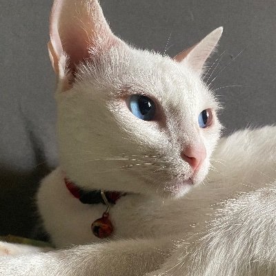 TrinidadAlpha's profile picture. Pinaka-hakdog daw sa universe 🪐✨ sabi ni ano…