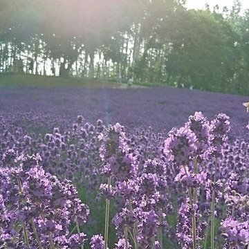 ____wtswmt____'s profile picture. ニュートラルに生きる。