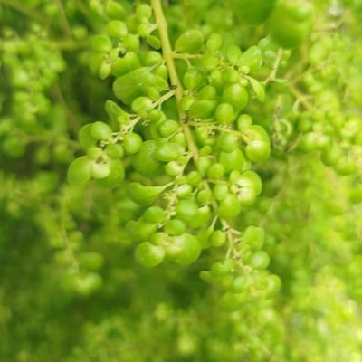 Jelena10201's profile picture. Офталмолог специјализован за рефрактивну хирургију

Крагујевац Србија 🇷🇸