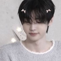 aegihoonie (@bobblebow) 's Twitter Profile