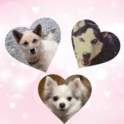 千尋さんのプロフィール画像
