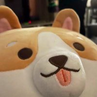 sissi (@c4psch) 's Twitter Profile Photo sissi (@c4psch) 's Twitter Profile Photo