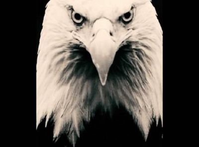 BdeEagle's profile picture. 