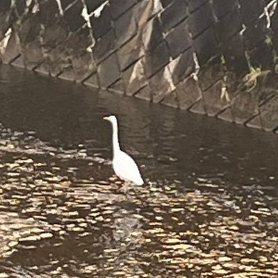 こさんのプロフィール画像