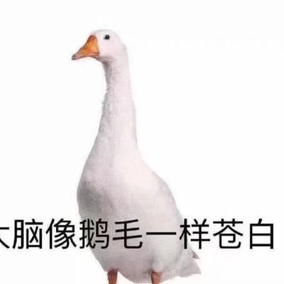 jiangxiao0625's profile picture. 