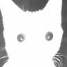 RottenHands_'s profile picture. He/him
animator and illustrator
comms closed
dni: bad people with bad actions