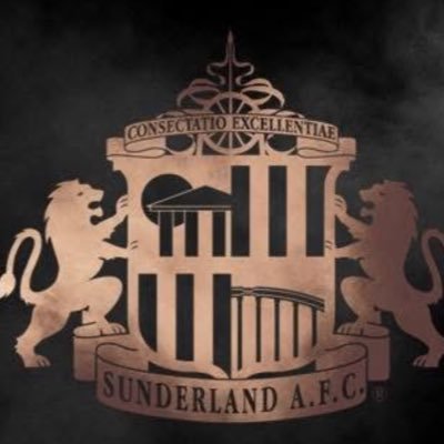 || 💉Type 1 Diabetic💉||🐐SUPER MAX🐐||🏎️ LN4🏎️||⚽️SAFC⚽️||🎯LUKE LITTLER🎯||⚽️AMAD⚽️||