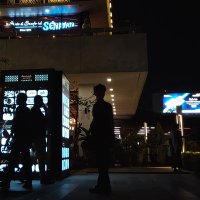 Mamonia (@humaannss) 's Twitter Profile