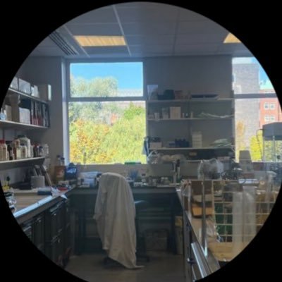 PhD student at the @OfficialUoM, Virologist 🔬 ✨… Senior Lab Specialist ✨
