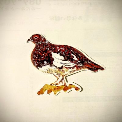 LARKHILLmitsu's profile picture. お酒と簡単なつまみ、そばやアウトドアなど日々の書付け。