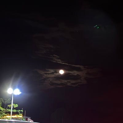 stonesolut55397's profile picture. 