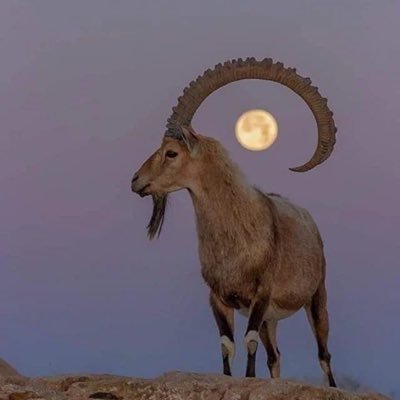 VenturaChrist's profile picture. 1,80m 🖖🏾Fear of God. CEO of Christian store online shopping