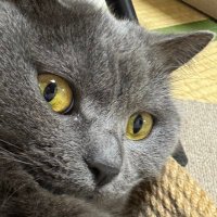 Kay (@kayhai1118) 's Twitter Profile