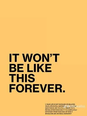 Dochewoo's profile picture. Need a #GetResponse, #Monday, #Gohighlevel expert with loads of experience across various niches? kindly contact me on https://t.co/GDYqHhDMJ6