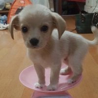 띠룽이💟 (@yuddiis2) 's Twitter Profile Photo