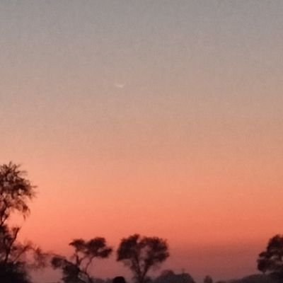 Zeeshuofficial7's profile picture. Stay calm.