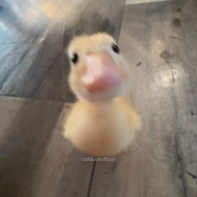 san_tish's profile picture. 