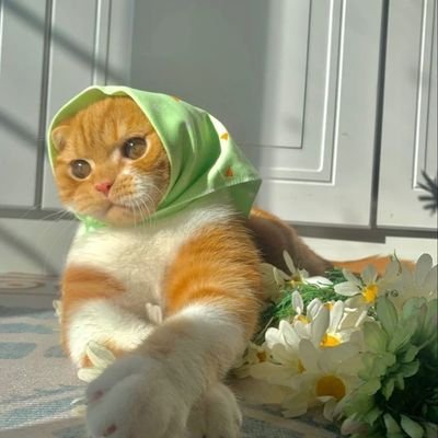 Ph_543's profile picture. 