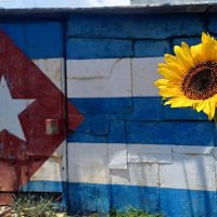 Nashley🇨🇺❤ (@nashlye_73) 's Twitter Profile Photo Nashley🇨🇺❤ (@nashlye_73) 's Twitter Profile Photo