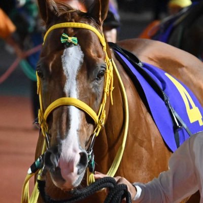 eifura_7diary's profile picture. 毎週佐賀競馬にいる変態。 鮫島厩舎と山下裕貴騎手、赤岡修次騎手推しです。