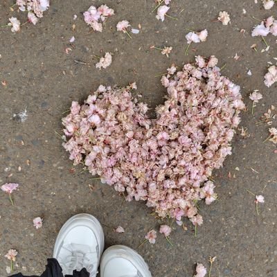 Feuillennn's profile picture. FJD
ピアノ弾いたりおえかきしたりしたい
かまって