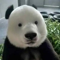 ilikextinctsfeetandblast (@xtinctsvape) 's Twitter Profile Photo