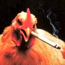 snctnd's profile picture. sorry im gonna be sick that day