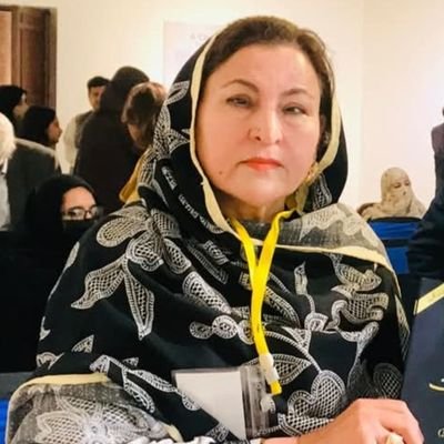 Columnist-Novelist-Author- Curriculum Developer-Published 65 Books- Editor (Durdany ) founder-(Khwendy Adabi Lakhkar- mmbr BOG PAL pak.proud Yousafzai.