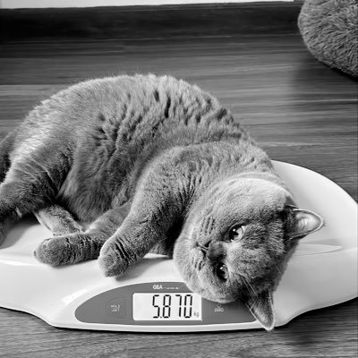 arthaprima_'s profile picture. 