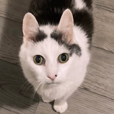 Yes beesさんのプロフィール画像