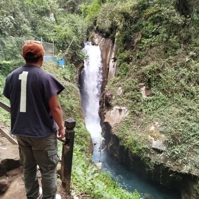 WitzilAlex's profile picture. 