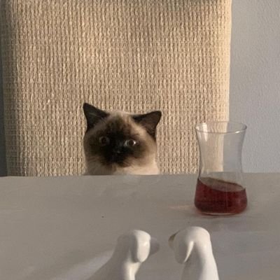 TakDide's profile picture. 🌟❤️✊🏼