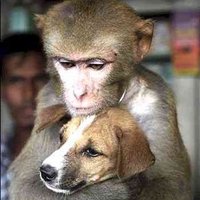 TheMD (@themkd10) 's Twitter Profile Photo